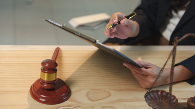 Law Expert
