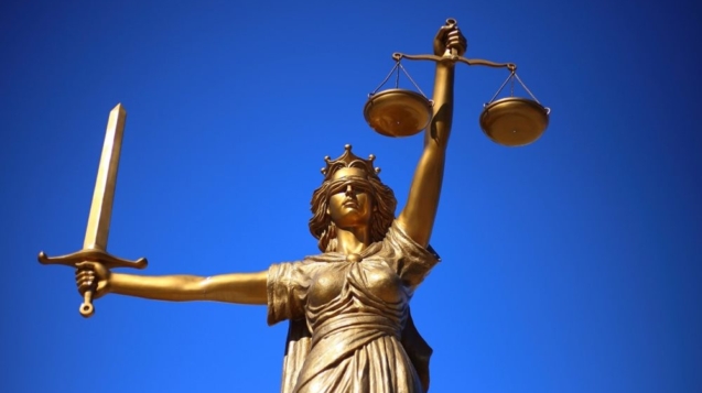 Law Expert, Family Law, Victims and Courts